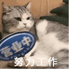 DƬ